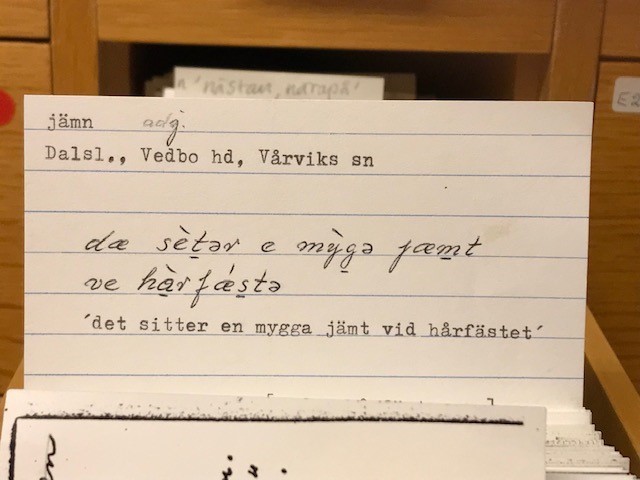 Lapp med ordet jämt från Dalsland ur dialektsamlingarna i Uppsala