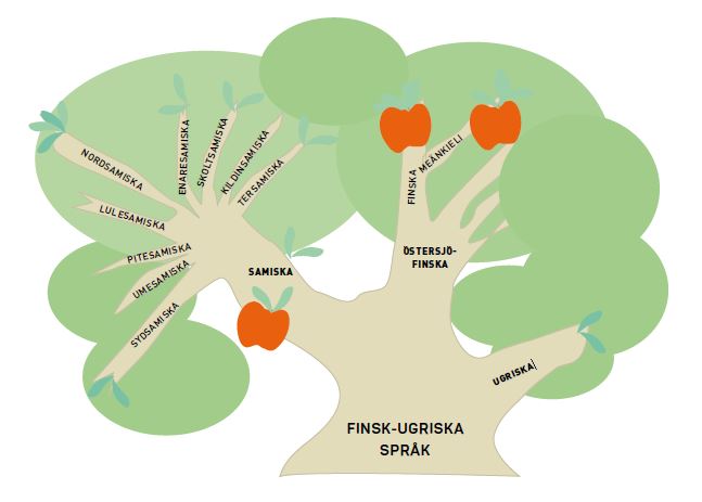Släktträd för den finsk-ugriska språkfamiljen. 